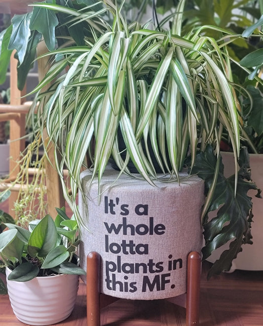 It's a Whole Lotta Plants in this MF Plant Stool