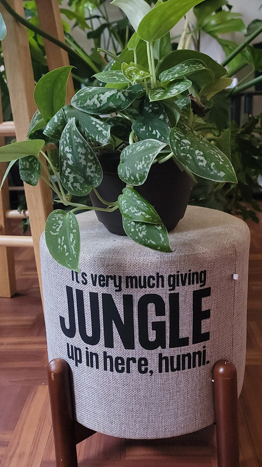 It's very much giving jungle up in here, Hunni Plant Stool
