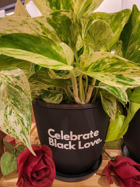 Celebrate black love planter